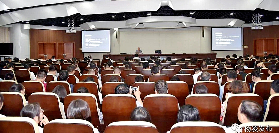 中心组.jpg 中心组.jpg