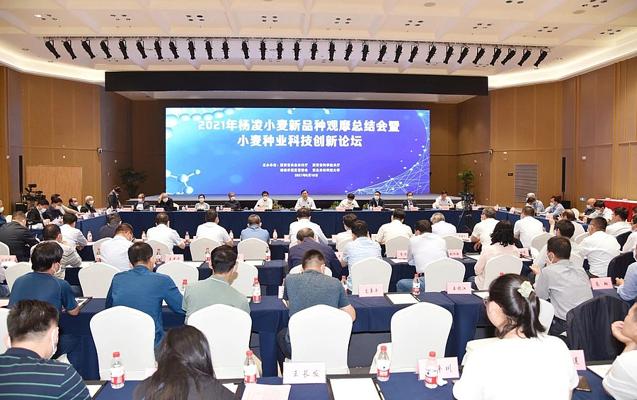 微信图片_20210519220456.jpg 微信图片_20210519220456.jpg