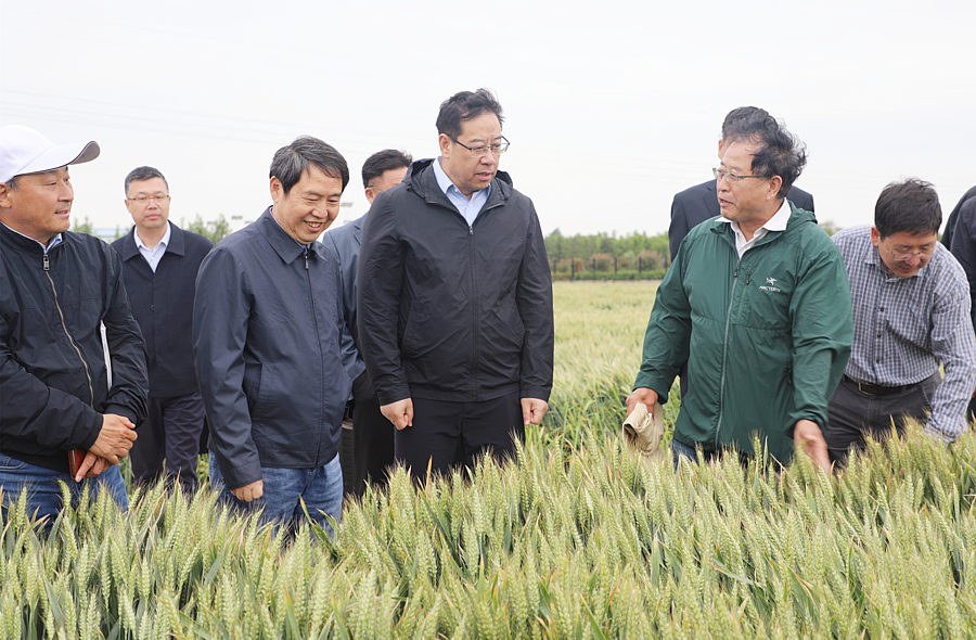 微信图片_20210519220458.png 微信图片_20210519220458.png