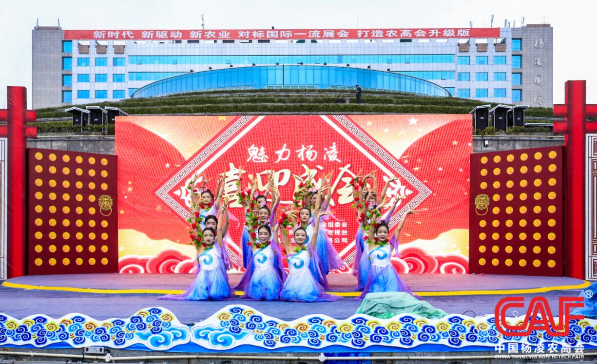 1541409775065003942.jpg 1541409775065003942.jpg