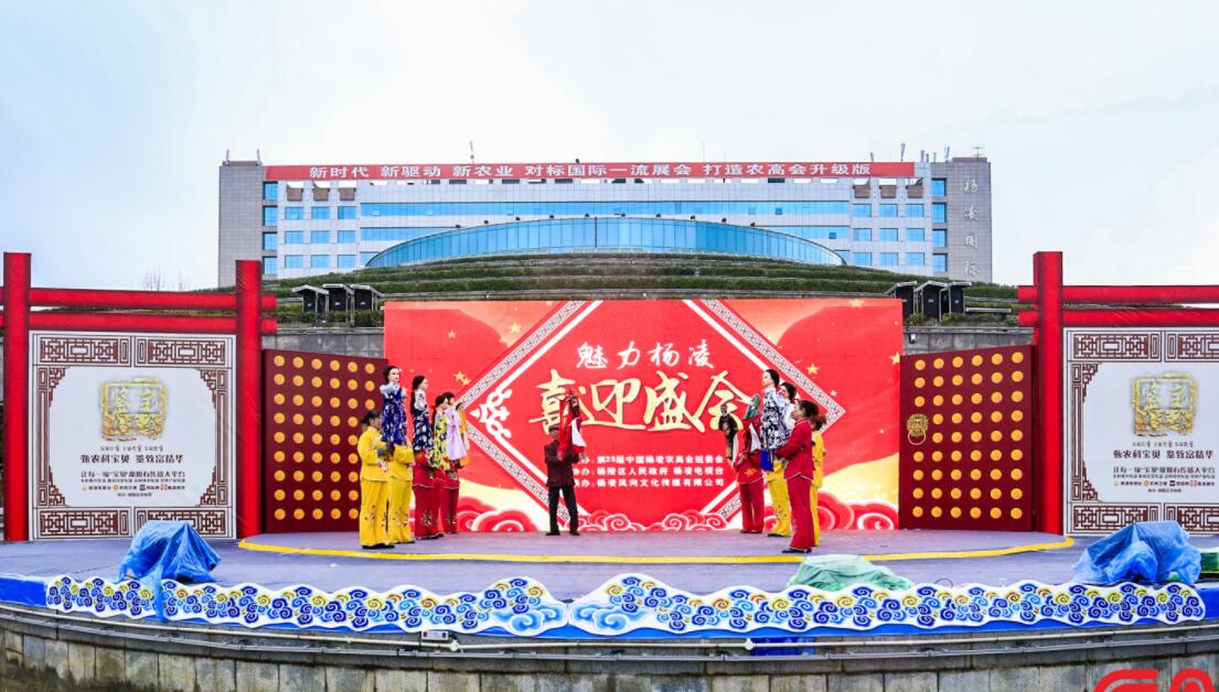 1541411352400035917.jpg 1541411352400035917.jpg