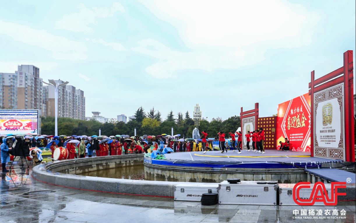 1541411456735003447.jpg 1541411456735003447.jpg