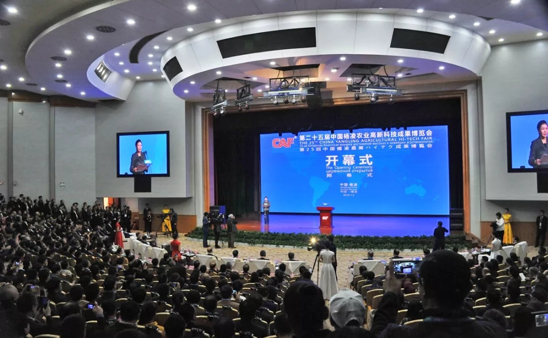 1541389808610060960.jpg 1541389808610060960.jpg