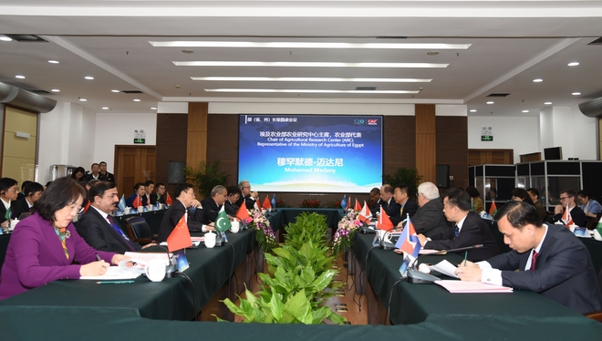 1541346326757016449.jpg QQ图片203.jpg