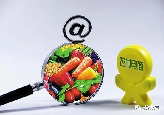 1541845530434086774.jpg 电商2.jpg