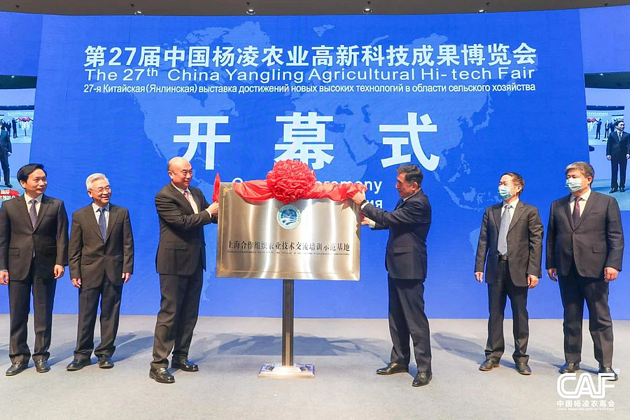 微信图片_20201029201922.jpg 微信图片_20201029201922.jpg