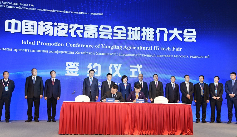 微信图片_20201029201931.png 微信图片_20201029201931.png