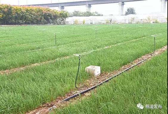 微信图片_20190816195314.jpg 微信图片_20190816195314.jpg