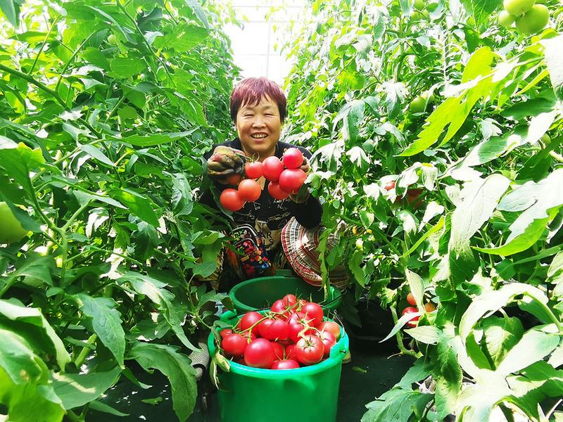 数字2.jpg 数字2.jpg