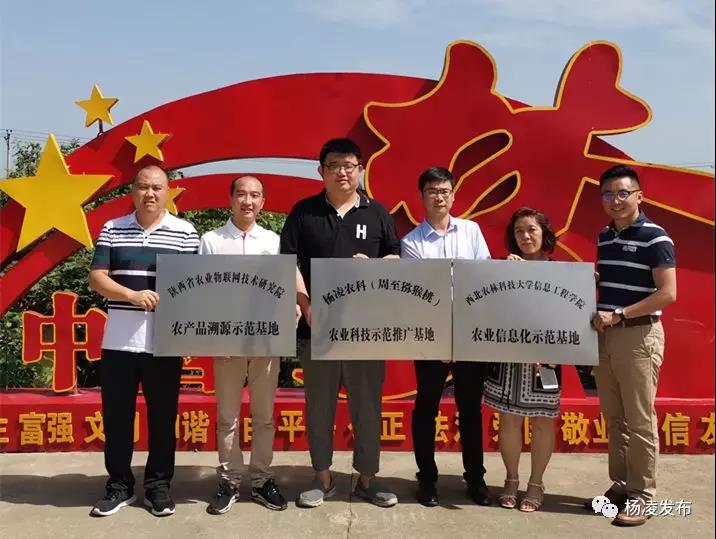 挂牌.jpg 挂牌.jpg