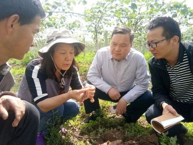 微信图片_20210531191802.jpg 微信图片_20210531191802.jpg