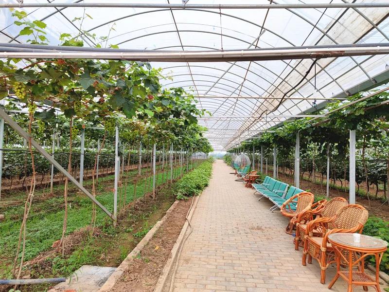 微信图片_20210809192653.jpg 微信图片_20210809192653.jpg