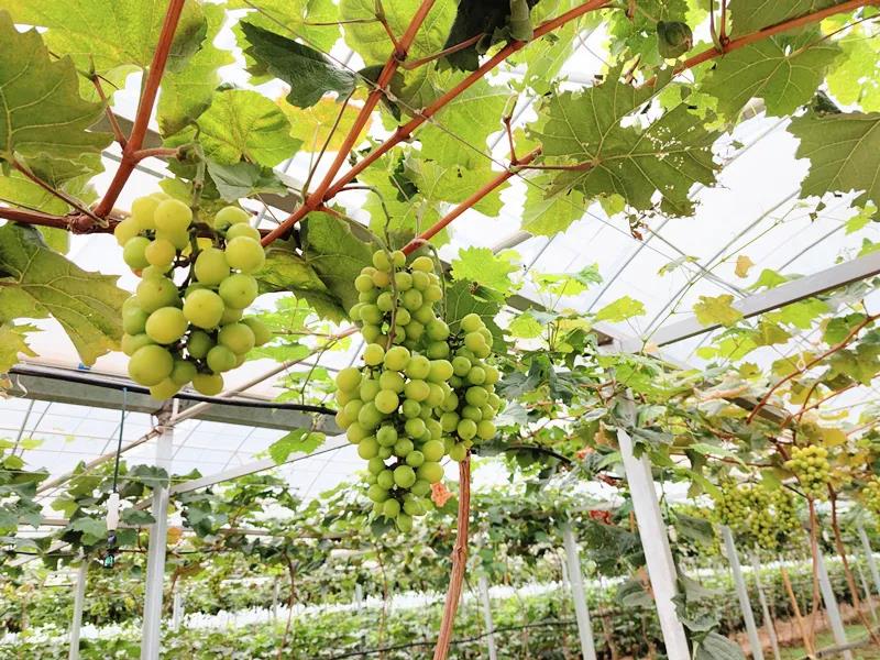 微信图片_20210809192647.jpg 微信图片_20210809192647.jpg