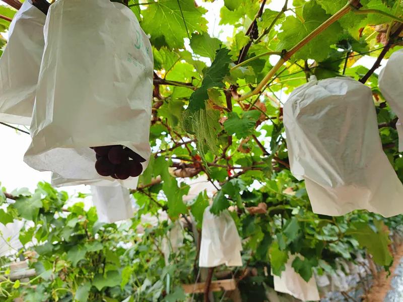 微信图片_20210809192641.jpg 微信图片_20210809192641.jpg