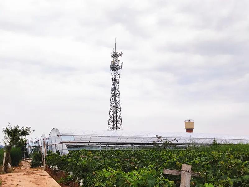 微信图片_20210809192644.jpg 微信图片_20210809192644.jpg