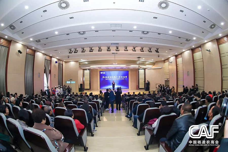 汉中1.jpg 汉中1.jpg