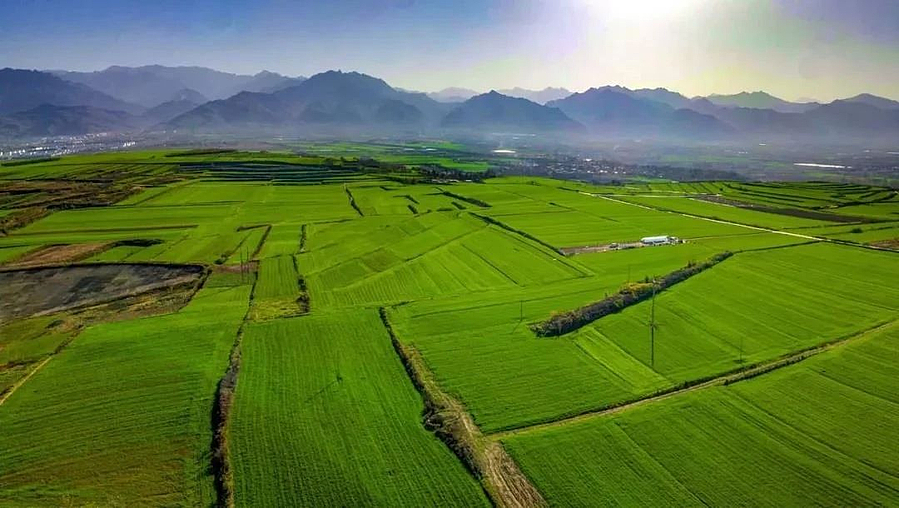 微信图片_20210409220847.jpg 微信图片_20210409220847.jpg