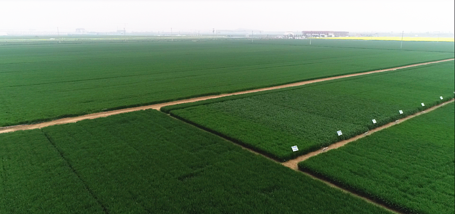 微信图片_20210409220842.png 微信图片_20210409220842.png