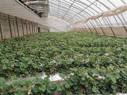 微信图片_20210326203632.jpg 微信图片_20210326203632.jpg