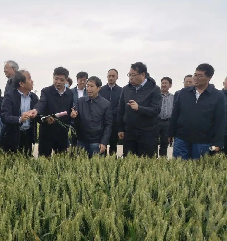 微信图片_20210518085935.jpg 微信图片_20210518085935.jpg