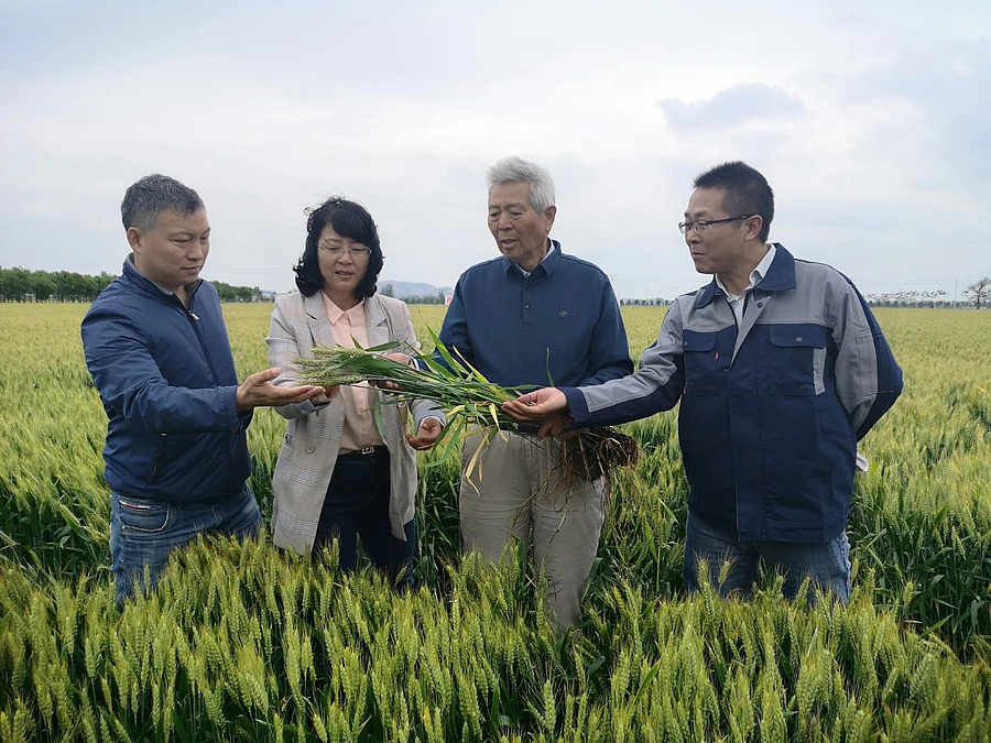 微信图片_20210518085938.jpg 微信图片_20210518085938.jpg