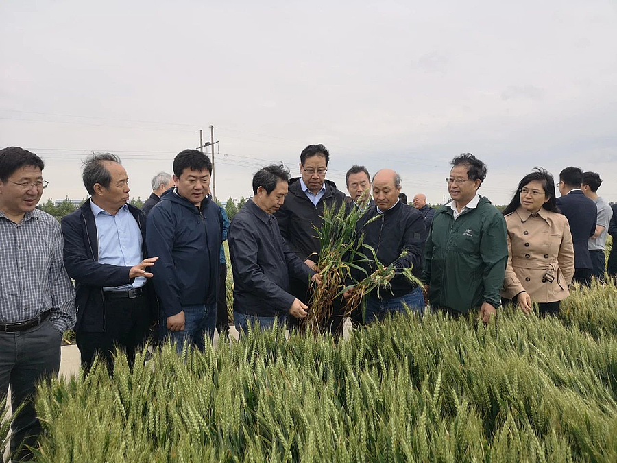 微信图片_20210518085937.jpg 微信图片_20210518085937.jpg