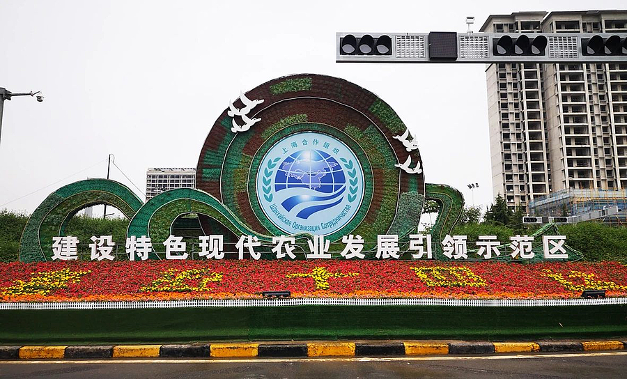 微信图片_20210527090015.jpg 微信图片_20210527090015.jpg