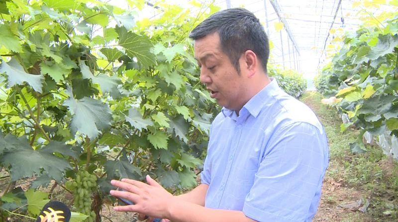 微信图片_20210705211520.jpg 微信图片_20210705211520.jpg