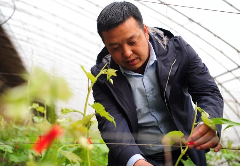 微信图片_20210705211523.jpg 微信图片_20210705211523.jpg