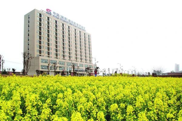 微信图片_20210713185719.jpg 微信图片_20210713185719.jpg