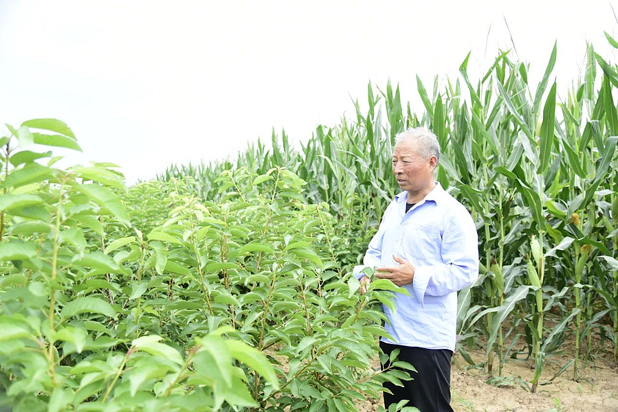 微信图片_20210803182131.jpg 微信图片_20210803182131.jpg