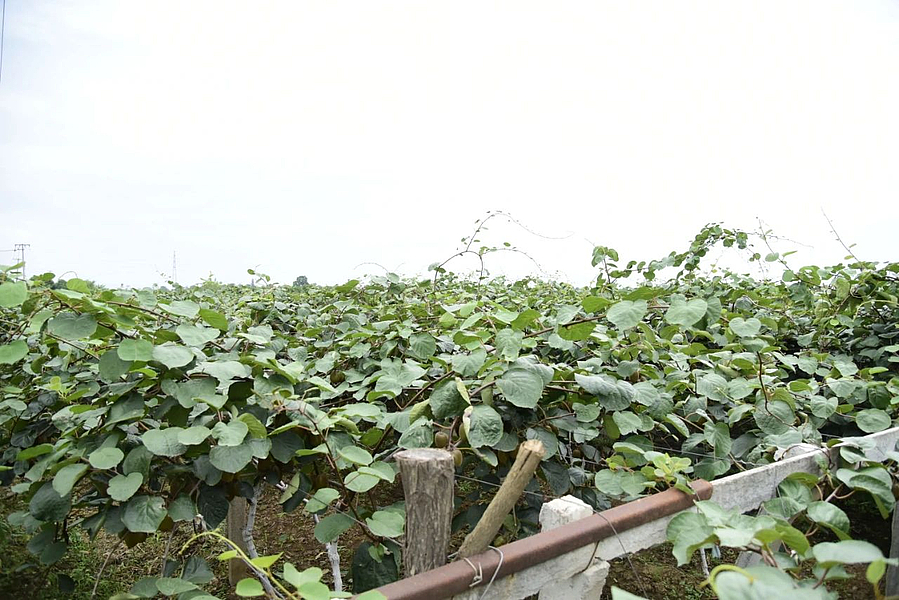 微信图片_20210803182132.jpg 微信图片_20210803182132.jpg