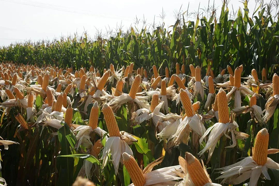 微信图片_20210406152731.jpg 微信图片_20210406152731.jpg